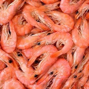 ΓΑΜΠΑΡΗ ΑΡΓΕΝΤΙΝΗΣ ΚΤΨ L1  800ΓΡ ΚΑΘΑΡΟ ΒΑΡΟΣ